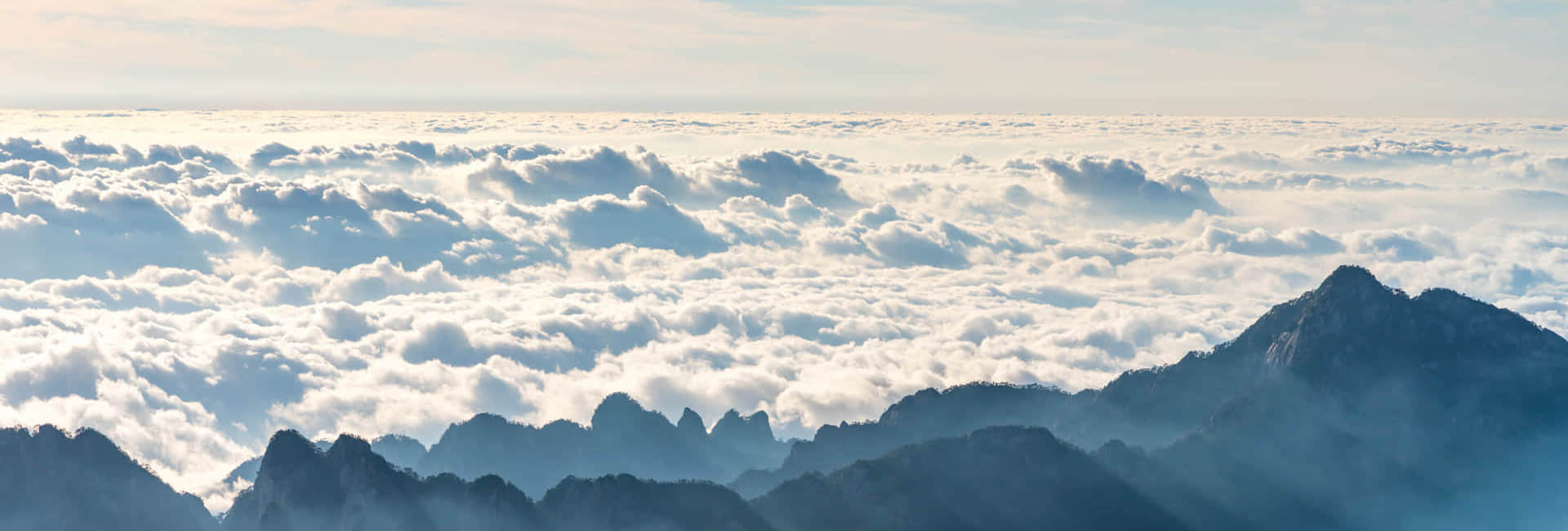 星空在线平台简介